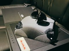 -BLACKSWAN黑天鹅(环球店)
