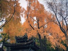-成都市文殊院