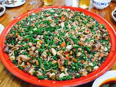 -东吴霸王兔(松青路店)