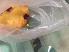 -幸福鸟动物奶油生日蛋糕(巨鹿店)
