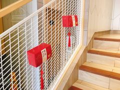 -麦当劳(塔园路店)