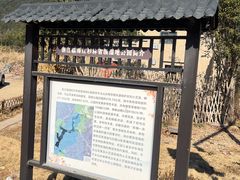 -小芝红树林
