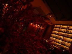 -苏州凯悦酒店·酒肆(华池街店)