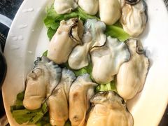 -蚝专家