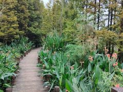 -桤木河湿地公园