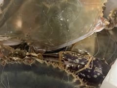 -杭州文化广播电视集团