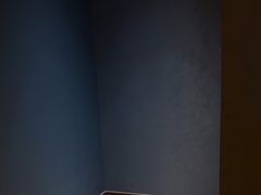 -舞指仙境足浴按摩(政务店)