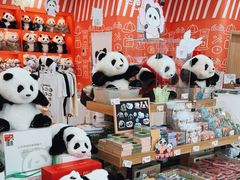 -熊猫邮局(少城店)