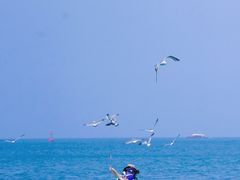 -海驴岛(荣成市)