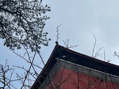 -妙峰山风景名胜区