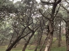 -七曲山风景区