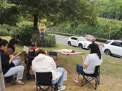 -铁山坪森林公园