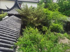 -郑和公园