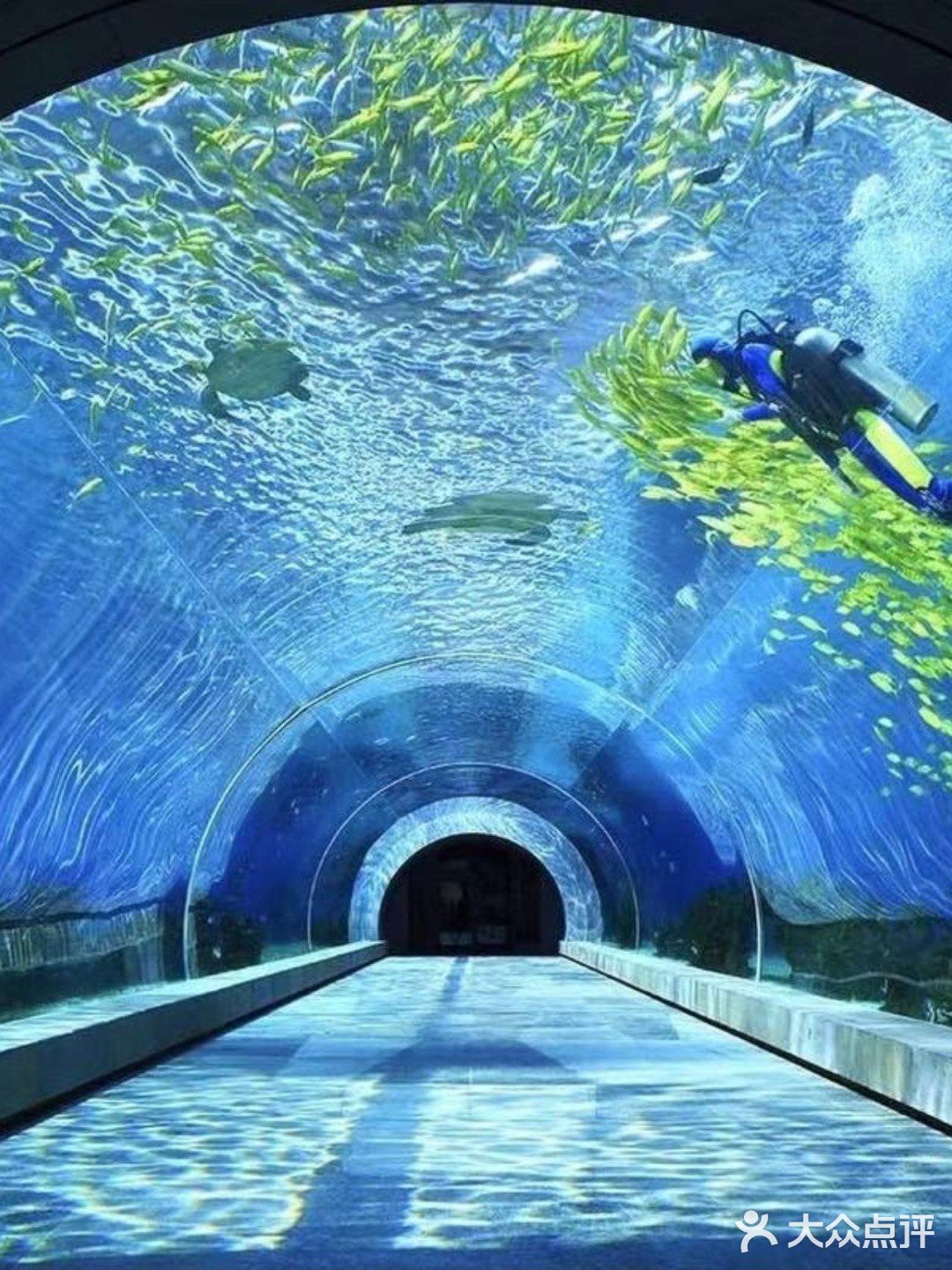 🏖️三亚婚礼场地攻略|天房洲际度假酒店