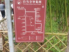 -洛阳白马寺