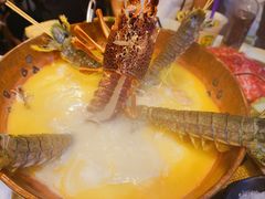 -鲜入围煮花胶鸡海鲜火锅