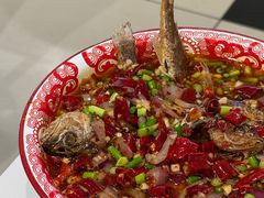 -欧记大排档·景德菜(上海首店)