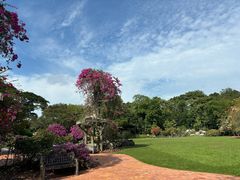 -新加坡植物园