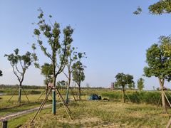 -春花秋色城市公园