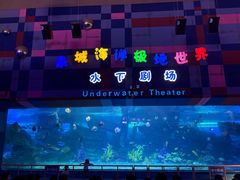 -泉城欧乐堡海洋极地世界