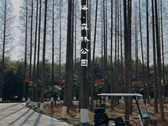 -黄海国家森林公园