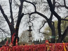 -大槐树寻根祭祖园