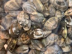 -宾朋海鲜特色美食餐厅·纯手工鲅鱼水饺(兴海路店)