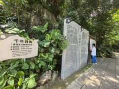 -星湖旅游景区七星岩