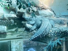 -广州动物园