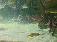 -苏州海洋馆