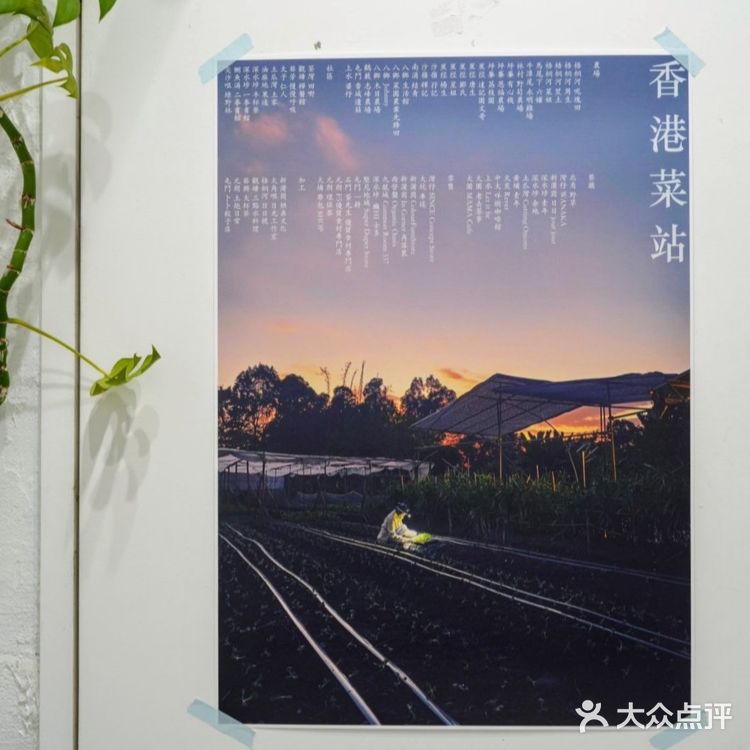 上水隱世咖啡店，Let it be...
