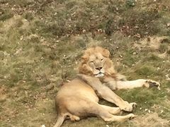 -泉州海丝野生动物世界