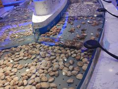 -澜悦港海鲜体验主题餐厅