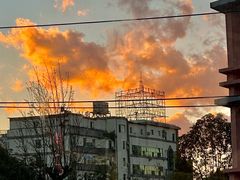 -七采菌园·野生菌石锅鱼(环城北路店)