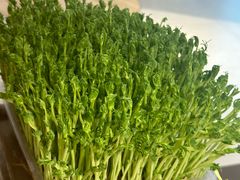 -好彩猪肚鸡(正弘城店)