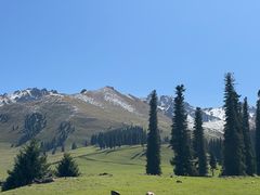 -新疆那拉提国家旅游度假区