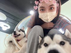 -Husky Go! 哈士奇体验馆·宠物咖啡厅狗咖