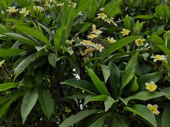 -亚龙湾亚泰商业街