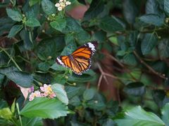 -上海动物园(地铁站)