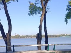 -金汉斯南美烤肉自助餐厅(中央大街黑金店)