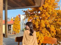 -Blue Concept Cafe&Farm·關於藍