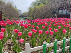 -炉鱼(云澜湾店)