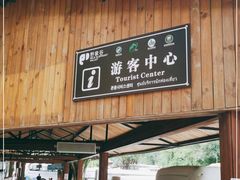 -野象谷景区