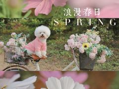 -天适樱花悠乐园