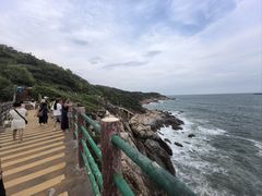 -广东惠东海龟国家级自然保护区