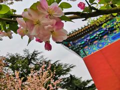 -刘妈菜馆(磁器口店)