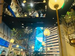 -桂满陇·海市蜃楼·黑金(国金店)