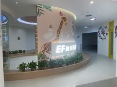 -英孚教育青少儿(宝龙中心)