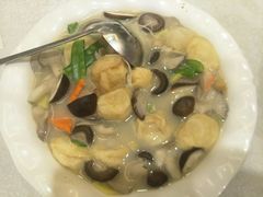 浓汤什菌浸鱼腐-小榄公饭店(西区彩虹店)