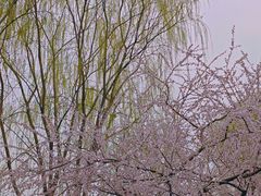 -三里河公园